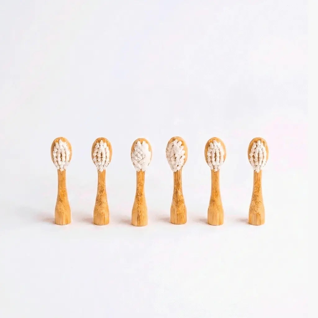 Eco Friendly Replacement Toothbrush Heads Pack of 6
