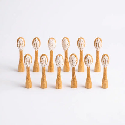 Eco Friendly Kids Toothbrush Pack for Siblings