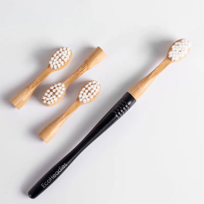 Reusable Eco Friendly Toothbrush with 4 Replacement Heads