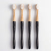 Family Toothbrush Set with 4 adult handles and 16 Eco-Friendly Replacement Heads